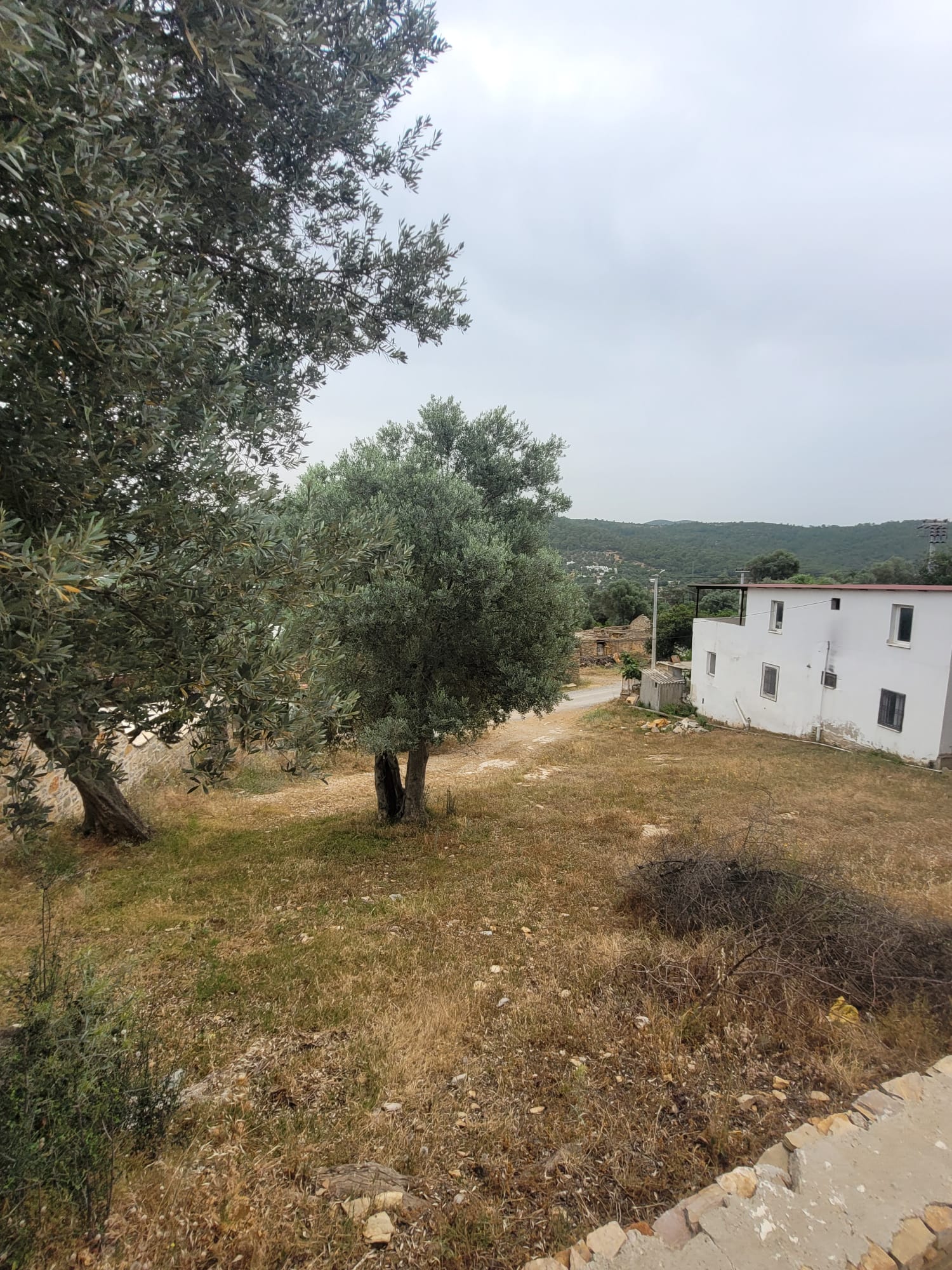  Land for Sale with Construction Permit in Bodrum Kızılağaç