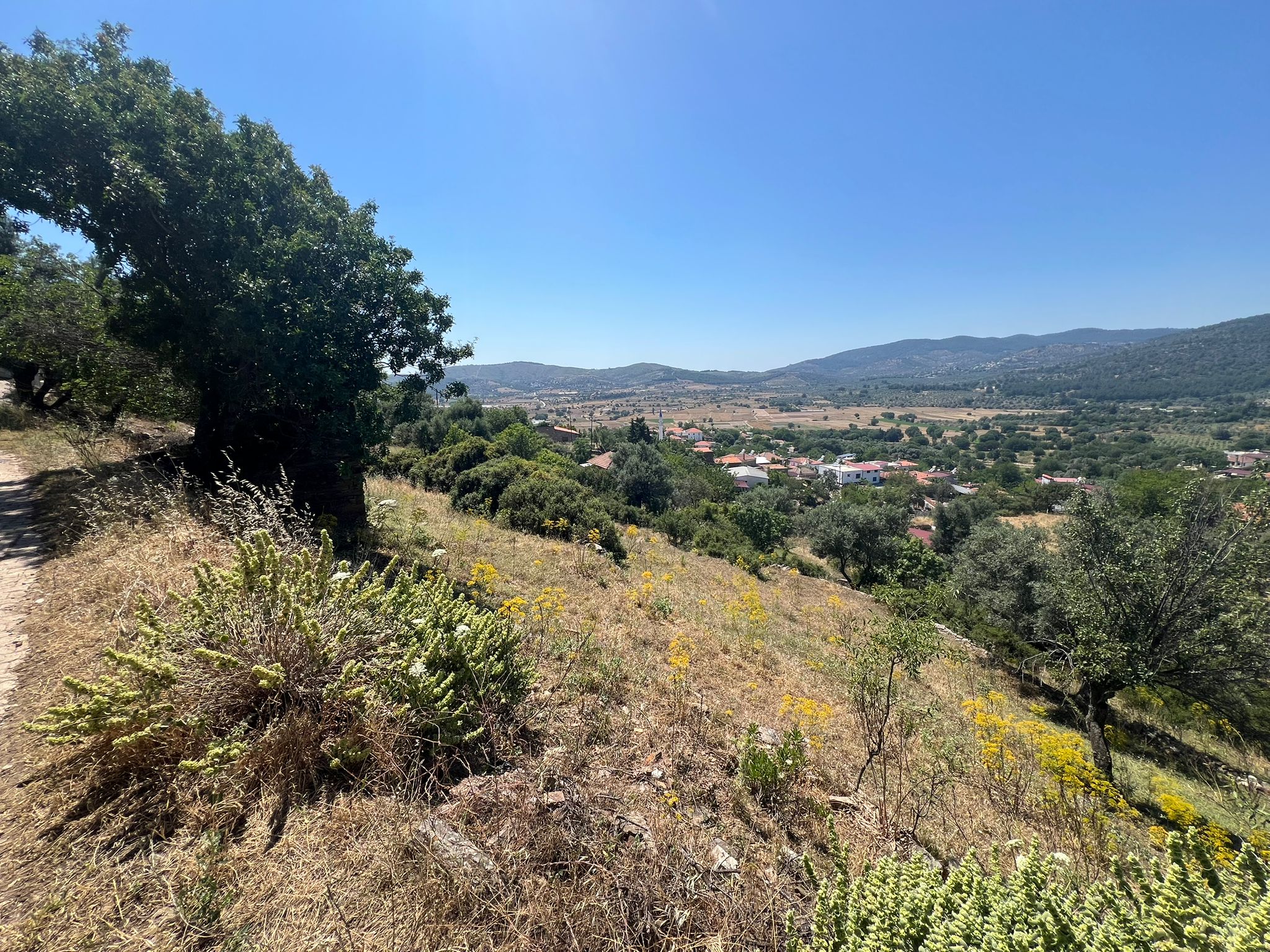  Milas Kuzyaka Land with 10 Villas